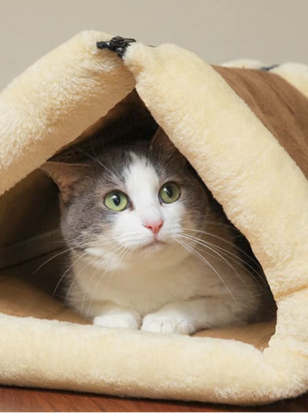 Cama Para Mascotas Tunel Catmat Triangulo de Perros🐶 y Gatos🐱 para el Frio